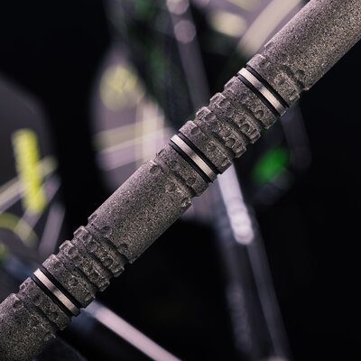 Michael van Gerwen MvG Signature Edition Winmau - Steeldart
