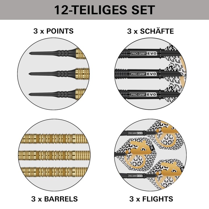 Target Bolide Envy 10 - 90% Tungsten - Softdart