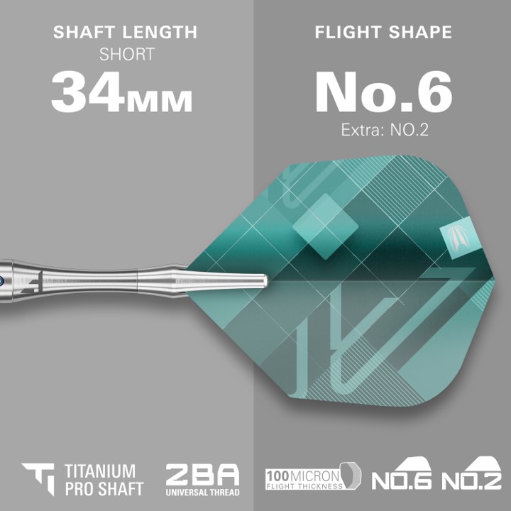 Rove 01 SP Target Steel Tip Darts 2024 - Steeldart