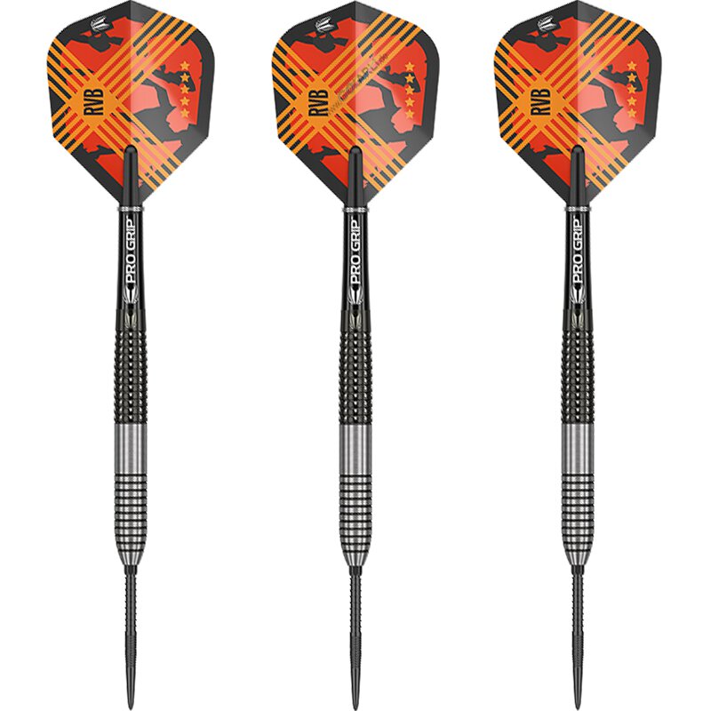 Raymond van Barneveld RvB Gen 3 - Steeldart