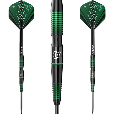 Bulls Brian Raman G2 - Steeldart