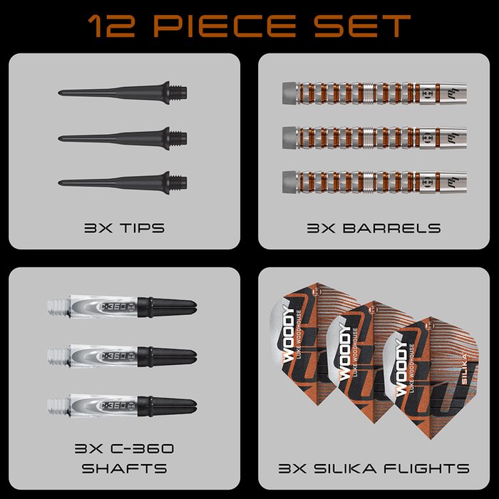 Luke Woodhouse Series 3 - Harrows - Softdart