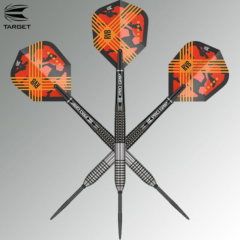 Raymond van Barneveld RvB Gen 3 - Steeldart