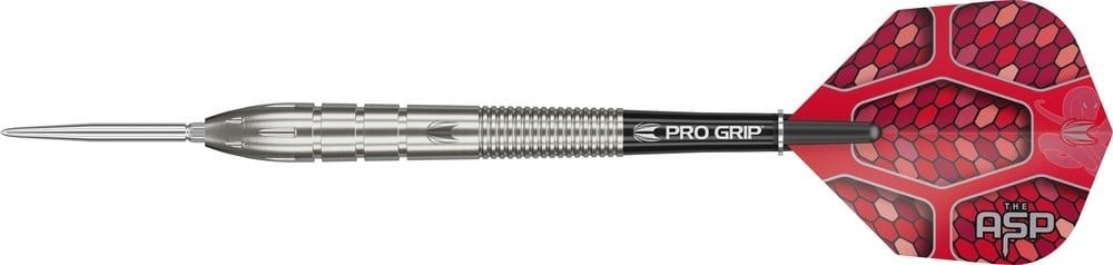 Nathan Aspinall Gen 1 Swiss Point - 90% Target - Steeldart